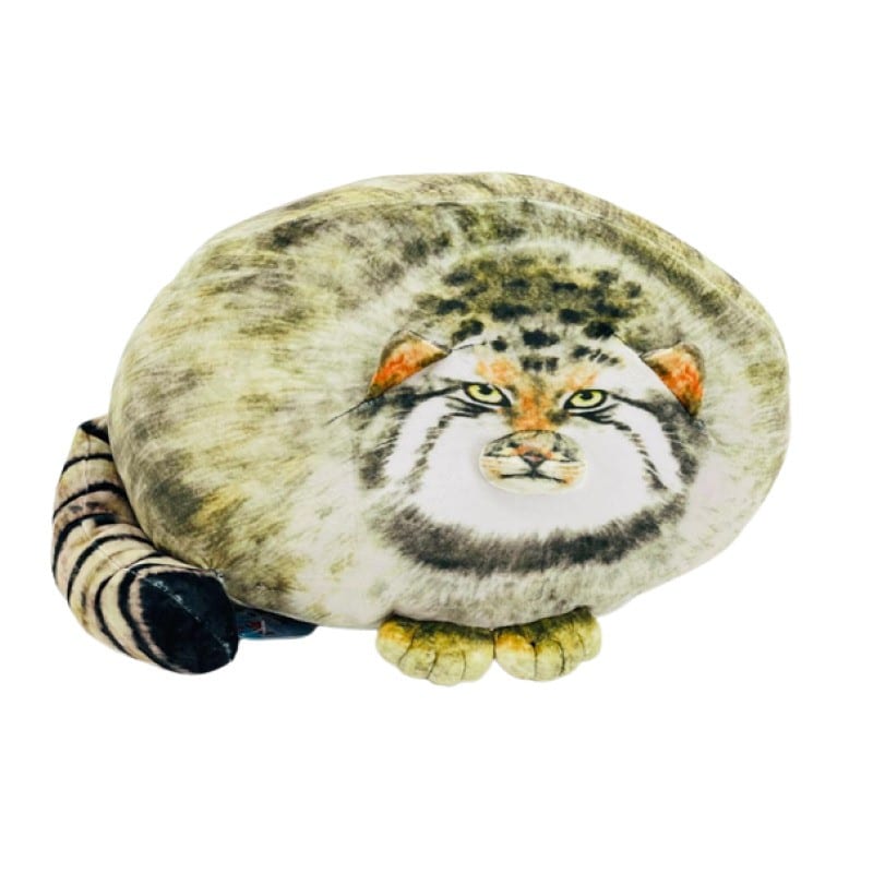 Кот манул шушик серый