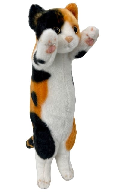 Котёнок пятнистый