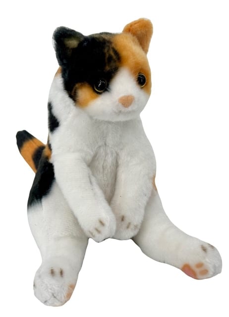 Котик пятнистый тайд